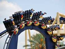 Busch Gardens in Tampa, Florida